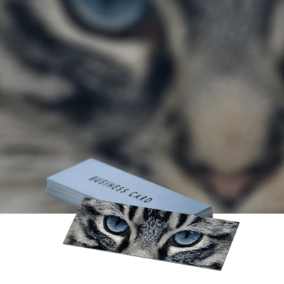 Business Cards Product Image